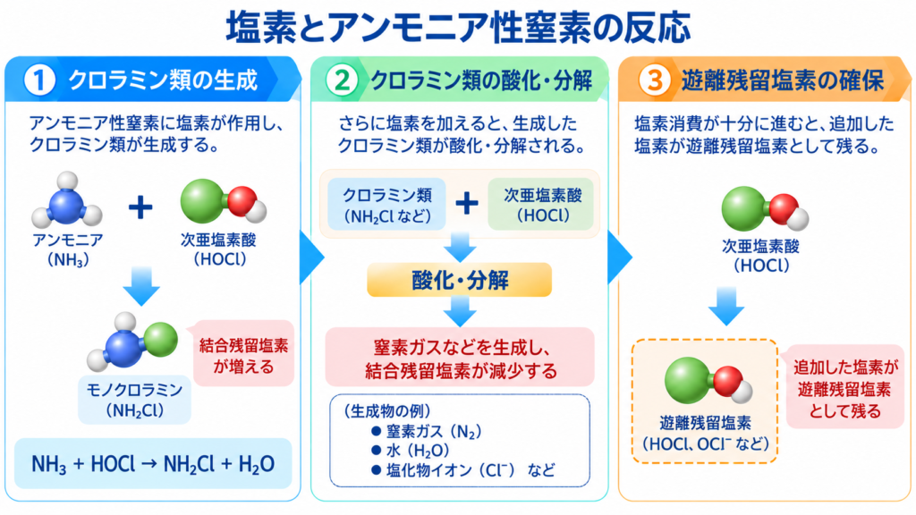 アンモニア性窒素と次亜塩素酸の反応によるクロラミン類の生成、追加塩素による酸化・分解、遊離残留塩素の確保までを3段階で示す図