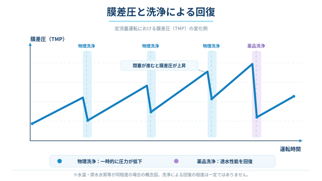 定流量運転で膜の閉塞に伴い膜差圧が上昇し、物理洗浄や薬品洗浄によって膜差圧が低下する傾向を示した模式グラフ。